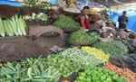 नोटबंदी का असर: सब्जियों की कीमतें गिरीं