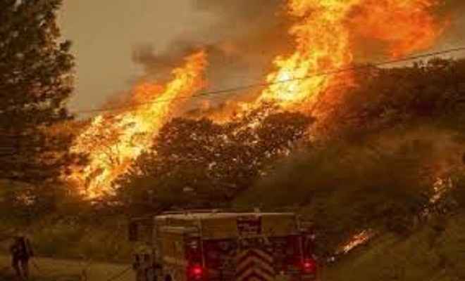 कैलिफोर्निया के जंगलों में लगी आग, 10 मरे, हजारों विस्थापित