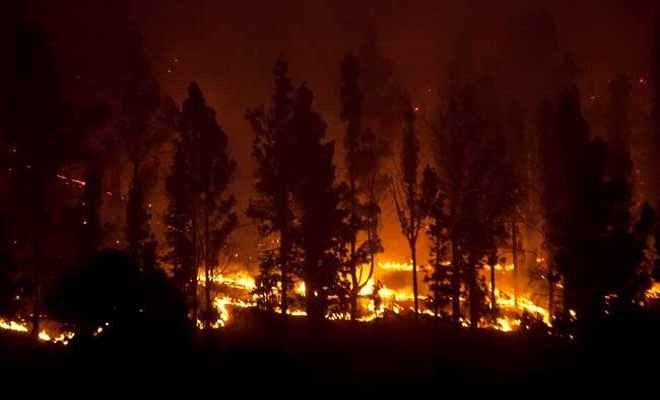 कैलिफोर्निया के जंगलों में लगी आग से अब तक 31 मरे