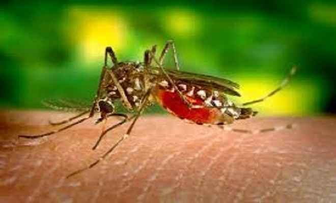 किशोर की डेंगू से मौत