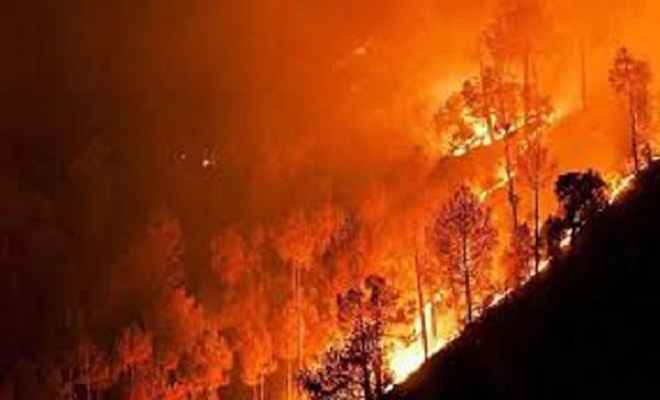 पुर्तगाल के जंगल में लगी आग, 25 की मौत, कई अन्य घायल