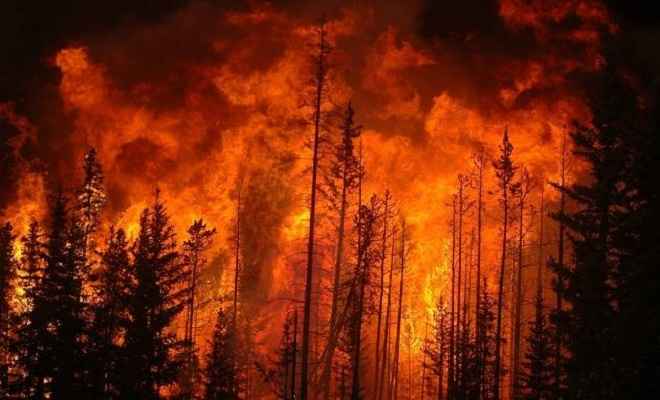पुर्तगाल के जंगल में आग, 57 मरे