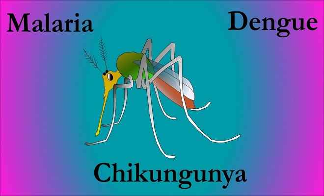 डेंगू एवं चिकनगुनिया से बचाव की तैयारियां पूरी: जैन