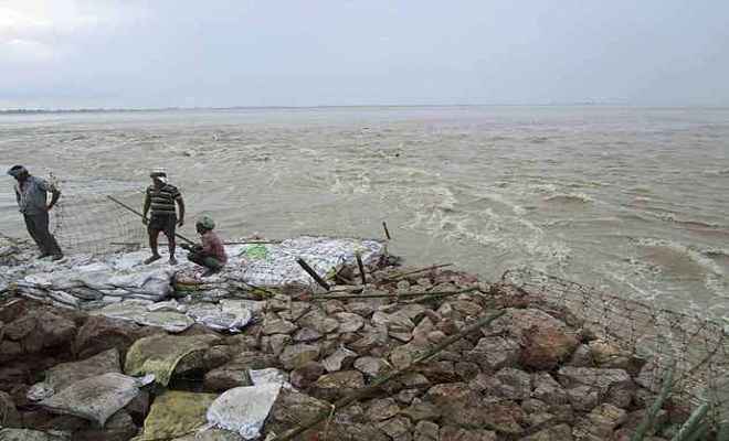 कमला बलान और महानंदा नदी के तटबंधों में आई दरार