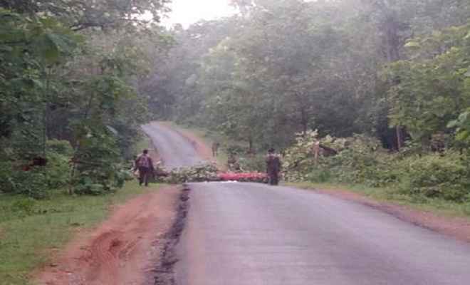 नक्सलियों ने पेड़ गिराकर यातायात अवरुद्ध किया