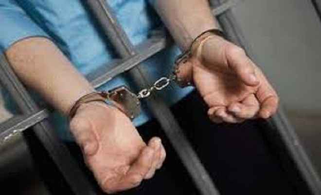उदयपुर में विदेशी महिला के साथ छेड़छाड़, आरोपी गिरफ्तार