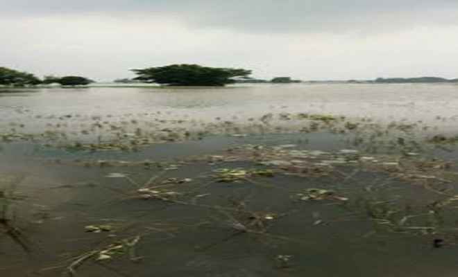 तेतरिया व चिरैया में बाढ़ की स्थिति बनी गंभीर