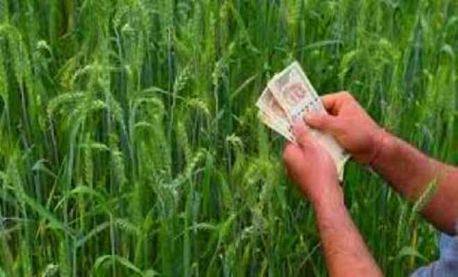 प्रदेश के 21 लाख किसानों को अब तक 8700 करोड़ का फसली ऋण वितरित
