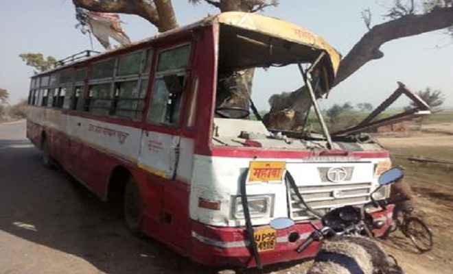 रोडवेज बस पेड़ से टकराई, एक दर्जन यात्री घायल