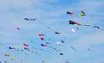 दियारा में इस बार नहीं हुआ पतंग महोत्सव का आयोजन