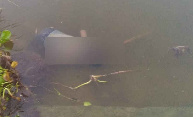 झरोखर में डूबने से 10 वर्षीय किशोर की मौत