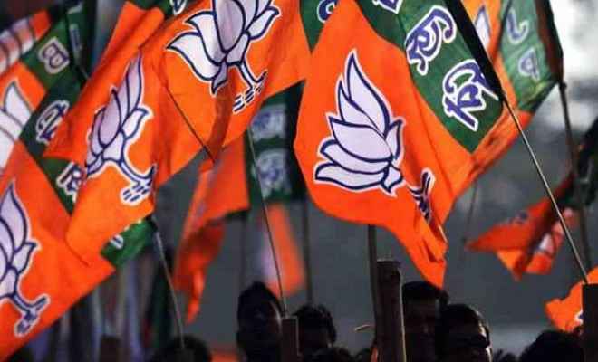 J&K निकाय चुनाव: आतंकवाद प्रभावित चार जिलों में भाजपा ने लहराया परचम, 53 वार्डों में मिली जीत