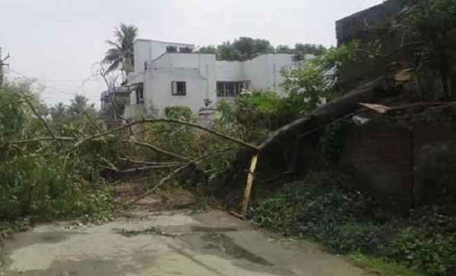 आंधी-तूफान का भीषण तांडव, नवादा में तीन लोगों की हुई मौत, 25 घायल