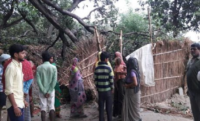 आंधी-तूफान का कहर, झोपड़ी पर गिरा आम का पेड़, 50 वर्षीय महिला की मौत