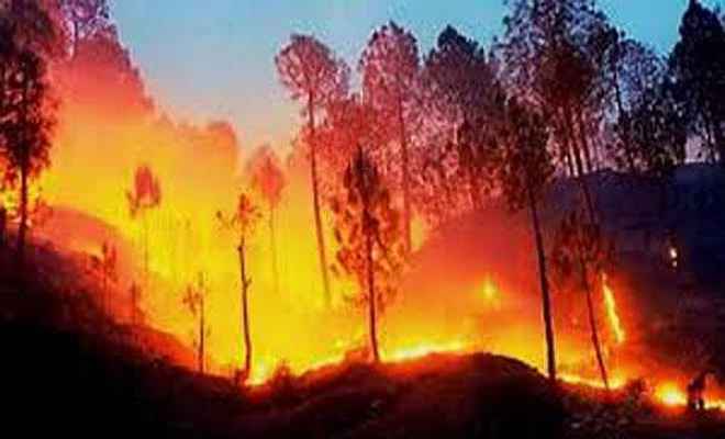 वैष्णो देवी की पहाड़ियों में लगी भयानक आग, यात्रा स्थगित