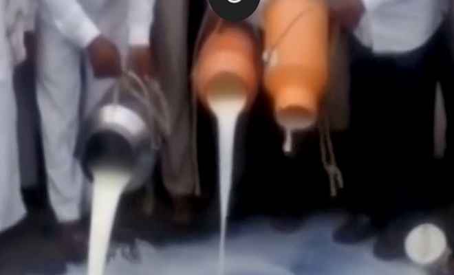 किसान आंदोलन: सड़क पर दूध बहाना किसानों को पड़ा महंगा, हुए गिरफ्तार