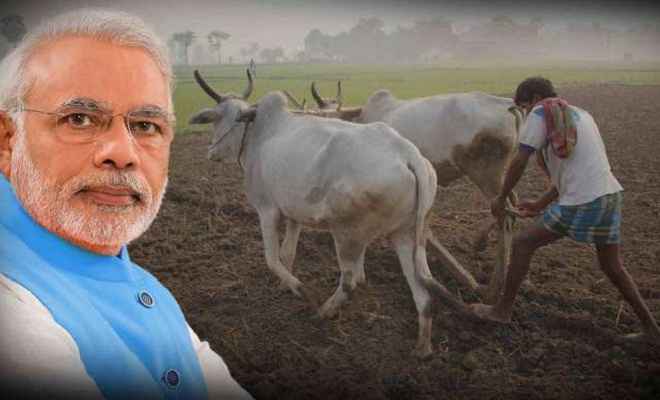 देश के विकास में किसानों की भूमिका अहम : प्रधानमंत्री