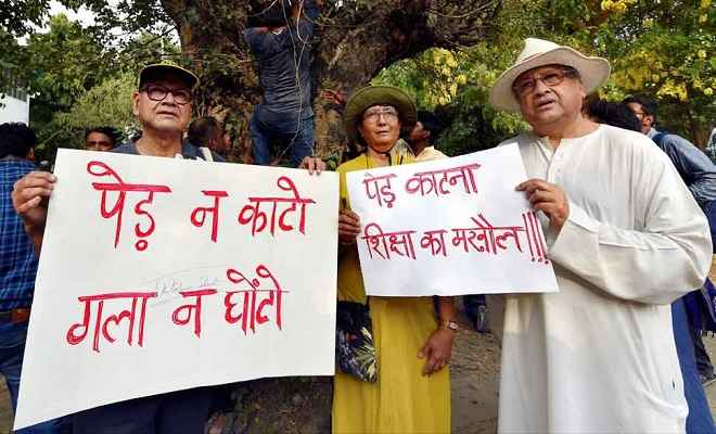 दिल्ली: 16,500 पेड़ों पर फिलहाल नहीं चलेगी आरी, हाईकोर्ट ने 4 जुलाई तक लगाई रोक