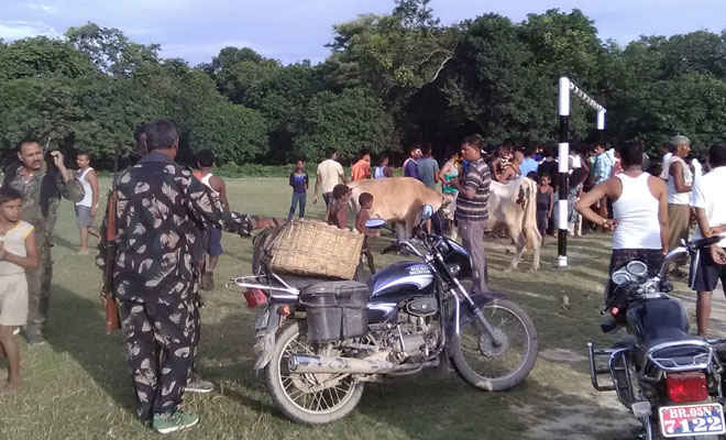 मोतिहारी के घोड़ासहन में दो दर्जन गायों के साथ चार तस्करों को स्थानीय लोगों ने पकड़ा, देर से पहुंची पुलिस