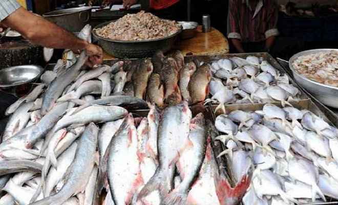 मछलियों की बिक्री पर लगा बैन हटा, मानक से अधिक फॉर्मलीन पाए जाने पर सरकार ने लगाई थी रोक