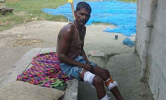 मछली पकड़ने गये मछुआरे को मगरमच्छ ने किया बुरी तरह घायल, इलाके में दशहत का माहौल
