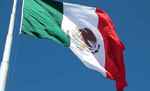 मेक्सिको में उग्रवादियों ने घात लगा कर पुलिसकर्मियों पर किया हमला, 14 की मौत