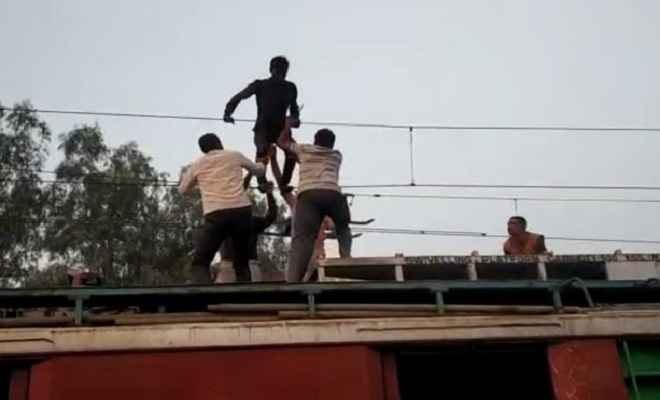 मध्य प्रदेश: रेलवे की 25000 केवीए लाइन पर चढ़ा विक्षिप्त युवक, सुरक्षित उतारा, घंटों ट्रैफिक हुआ बाधित