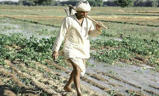 किसानों की उपेक्षा, मोदी सरकार की विफलता का कारण नही बने: प्रभुराज नारायण राव