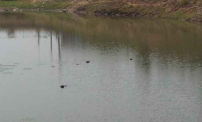 नहाने के दौरान तालाब में डूबने से दो सगे भाई समेत तीन की मौत