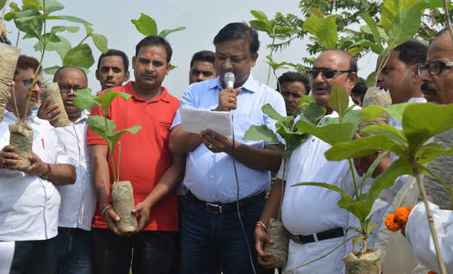 पर्यावरण दिवस परी रक्सौल के गांव में लगाए गए 200 पौधे, एसडीओ ने कहा- वृक्ष की रक्षा कर ही बच सकता पर्यावरण