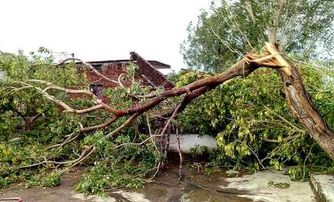 भयंकर आंधी-तूफान से अलग-अलग क्षेत्रों में तीन लोगों की मौत, छह से ज्यादा घायल