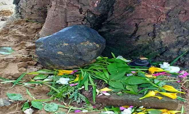 मधुबनी में आसमान से गिरा 15 किलो का विचित्र पत्थर, मुख्यमंत्री ने लिया बड़ा निर्णय