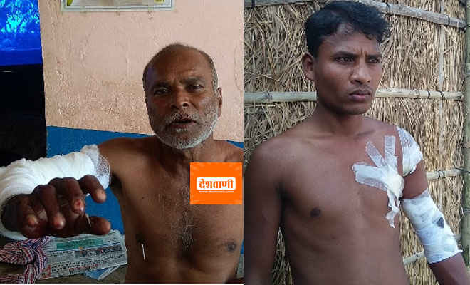 मोतिहारी में कोटवा के सरेह में दो लोगों को घायल करने के बाद तेंदुआ घुसा एक घर में, घरवालों ने छत पर ली शरण, वाल्मीकिनगर से आ रही रेस्क्यू टीम