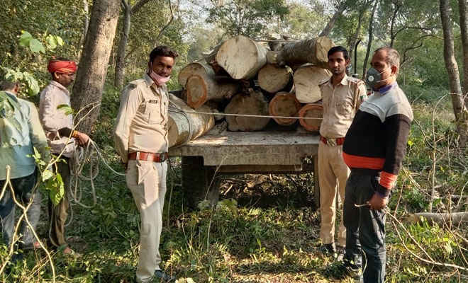 मोतिहारी के चकिया में वन विभाग ने चोरी से काटी जा रही इमारती लकड़ी को किया जब्त, डीएफओ के निर्देश पर हुई करवाई