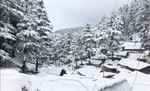 हिमाचल प्रदेश:  मध्यम और अधिक ऊंचाई वाले क्षेत्रों में हिमपात और छिटपुट वर्षा हुई