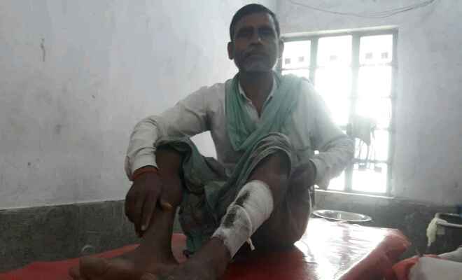 पश्चिमी चंपारण में तेंदुआ ने चार लोगों को किया घायल, एक की हालत गंभीर