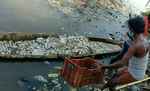 बेतिया के ऐतिहासिक सागर पोखरा में लाखों की मछलियाँ फिर मरी, सुरक्षा की कोई व्यवस्था नहीं