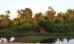 उदयपुर वनक्षेत्र के अस्तित्व पर संकट के बादल, जल-जीवन-हरियाली,  लौटेगी उदयपुर वनक्षेत्र की खुशहाली