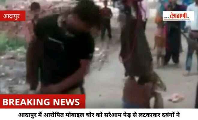 आदापुर में आरोपित मोबाइल चोर को सरेआम पेड़ से लटकाकर दबंगों ने पीटा, सोशल मीडिया पर VIDEO हुआ वायरल