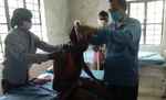 रामनगर में बाघ के हमले में एक बच्चा समेत चार लोग घायल, इलाके में दहशत