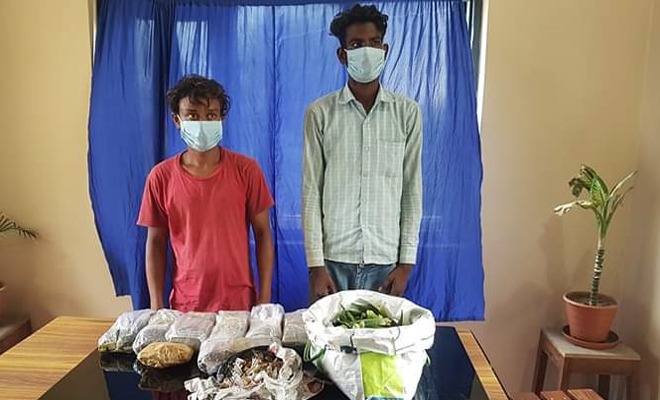 नेपाल के बीरगंज में रक्सौल के दो युवकों को गिरफ्तार, पुलिस ने कहा- दोनों के पास से भारी मात्रा में नशीली दवाइयां जब्त की गई