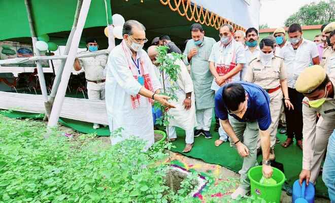 पूर्व केन्द्रीय मंत्री राधा मोहन सिंह ने पृथ्वी दिवस के अवसर पर बापू पौध शाला का उद्घाटन किया