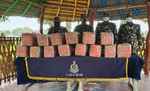 रक्सौल: एसएसबी ने 140 किलो गांजा के साथ दो को किया गिरफ्तार