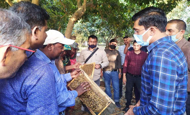 मोतिहारी के मेहसी में डीएम ने बॉंटें 26 जीविका दीदियों के बीच 260 मधुमक्खी पालन के बॉक्स, कुल 4 हजार बंटेगा बक्सा