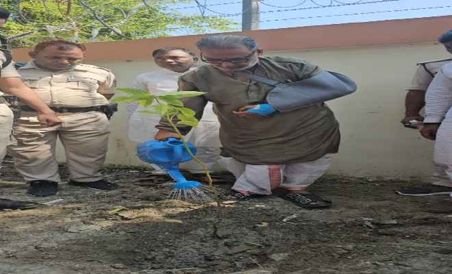 मोतीहारी: सांसद राधा मोहन सिंह ने गांधी ऑडिटोरियम के निकट राजा बाजार, कचहरी मार्ग में चंपा का पौधा लगाया