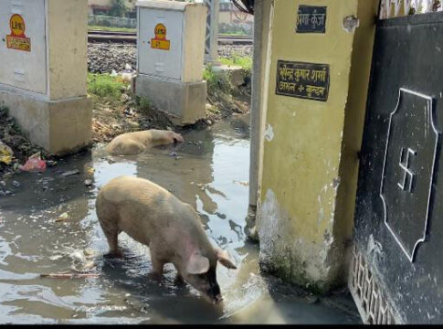 मोतिहारी: रेलवे के विकास के बीच बलुआ टाल के निवासियों का जीवन संकट में, कोर्ट में जाने की तैयारी